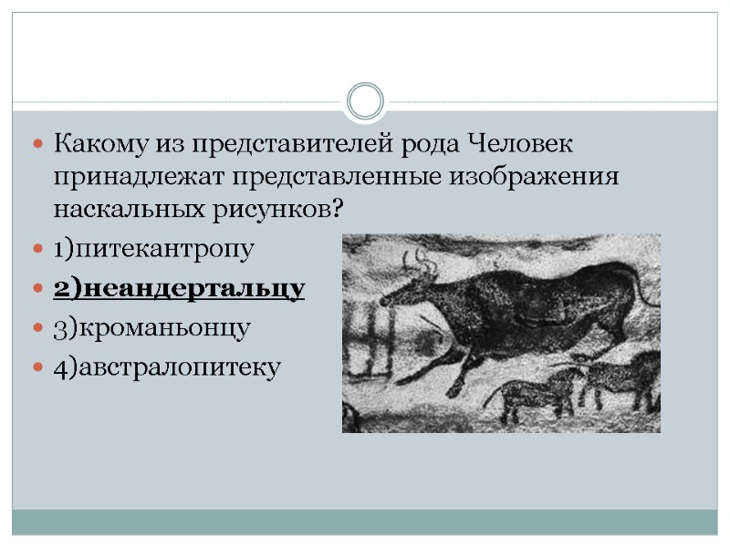 Какому из представителей рода Человек принадлежат представленные изображения наскальных рисунков? 1)питекантропу 2)неандертальцу 3)кроманьонцу 4)австралопитеку